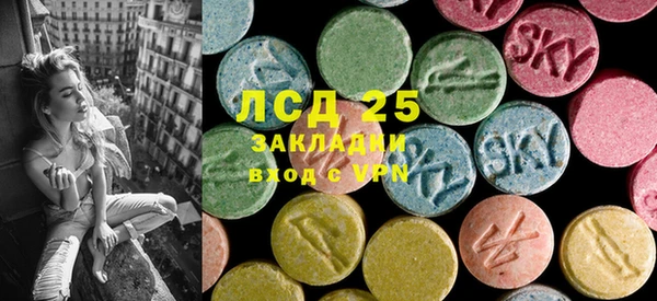 шишки Армянск
