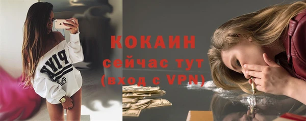 шишки Армянск