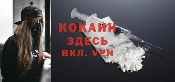 шишки Армянск