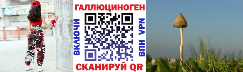 Галлюциногенные грибы Psilocybe дарнет шоп Сланцы